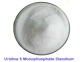 What Is Uridine 5 Monophosphate Disodium Salt Used For?